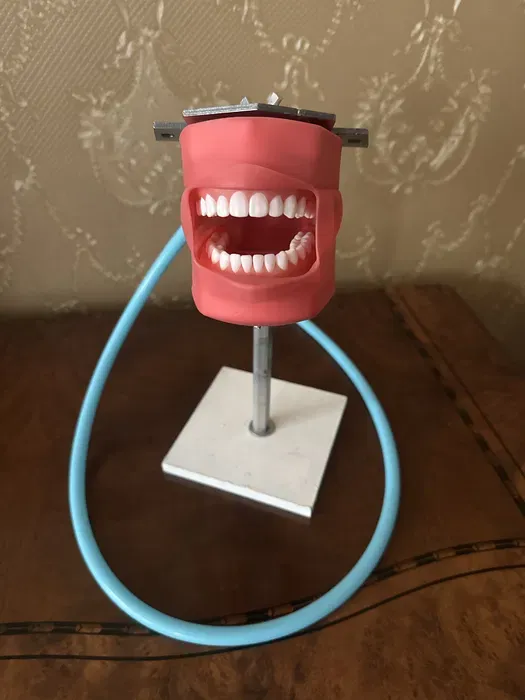 Стоматологический фантом