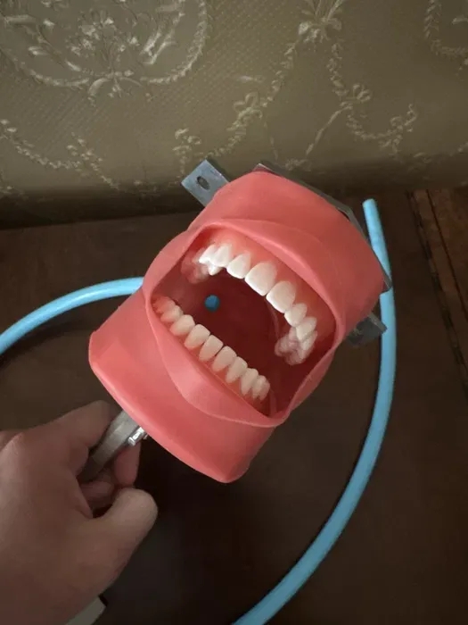 Стоматологический фантом