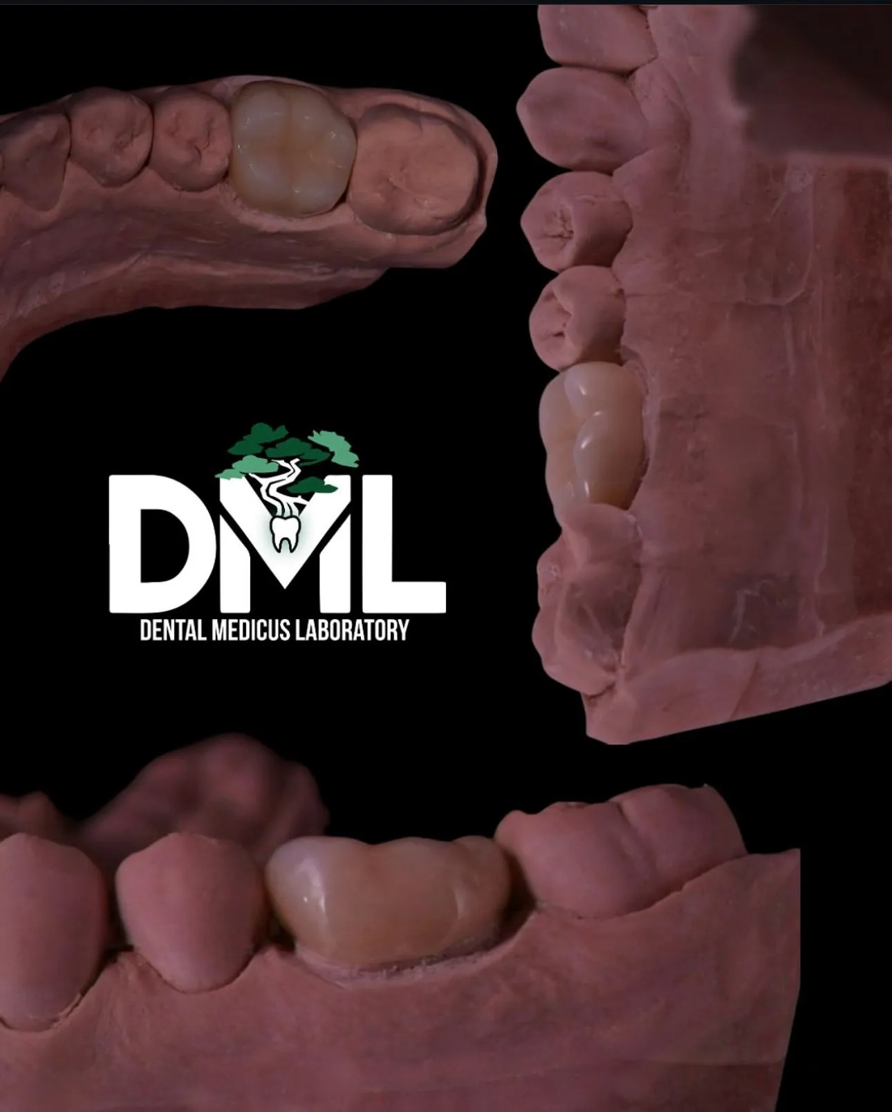 Зуботехническая лаборатория "Dental Medicus Lab"