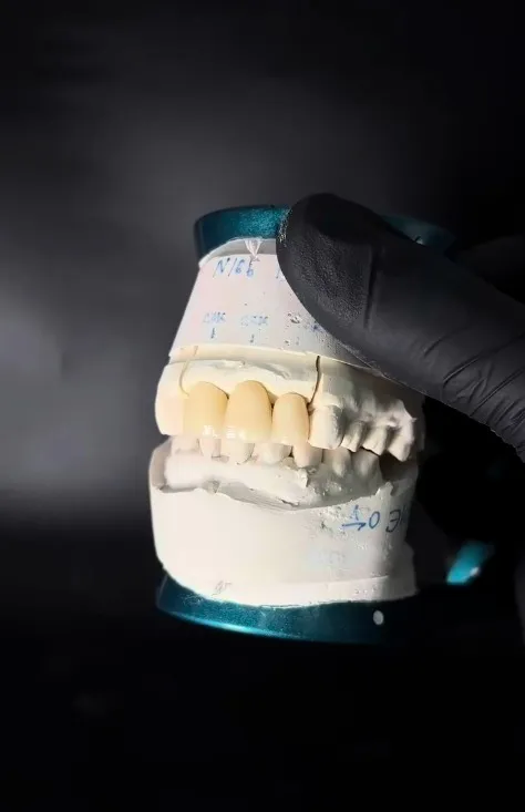 Зуботехническая лаборатория "Ripov Lab"