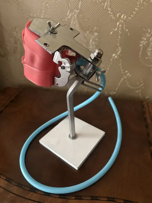 Стоматологический фантом