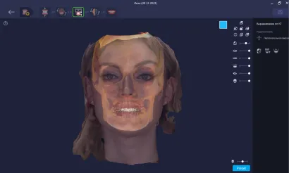 rayface_20.jpg