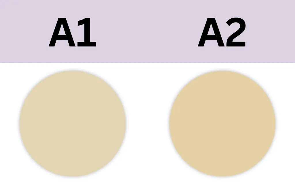 A3.png