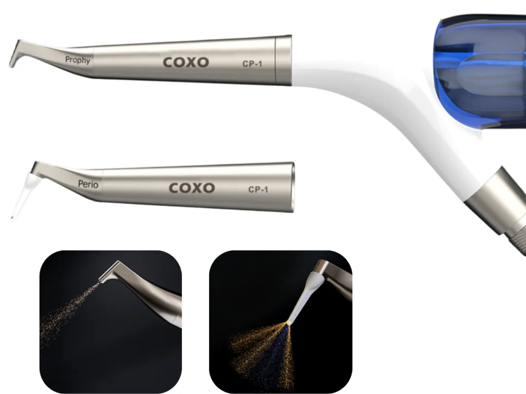coxo cp 1.png