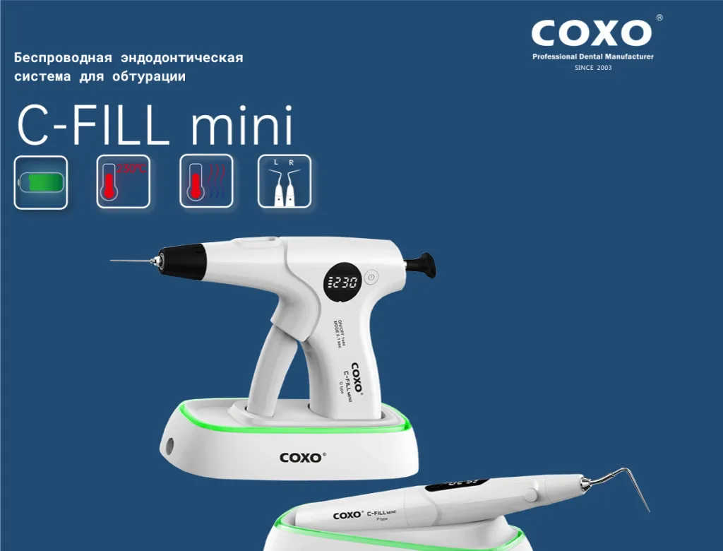 Coxo 1.jpg